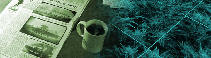 					Opinions & Editorials Cannabis News