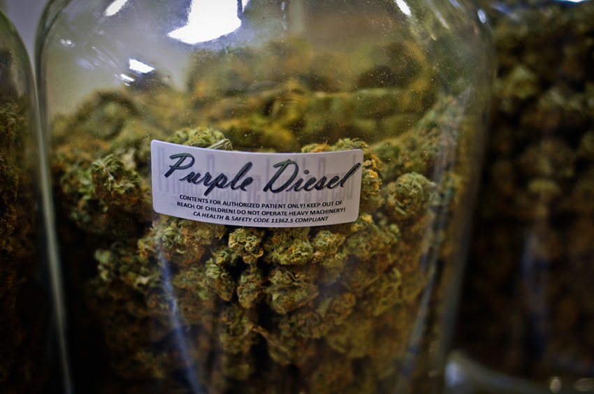 A jar of Purple Diesel on display in a California medical cannabis dispensary.