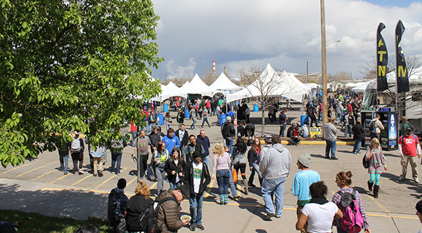 Cannabis Cup Outdoors