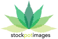 stockpot_logo_sm_COLOR