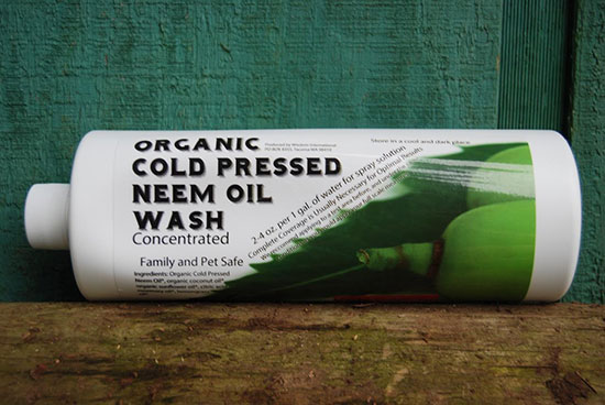 neemoil