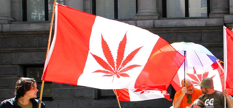 A Canadian flag using a cannabis leaf instead of a maple leaf.