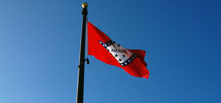 Arkansas' state flag flying before a cloudless sky.