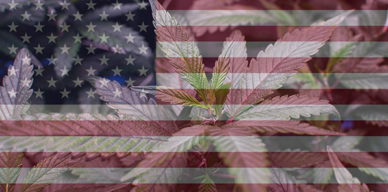 States Voting on Marijuana Legalization 2016