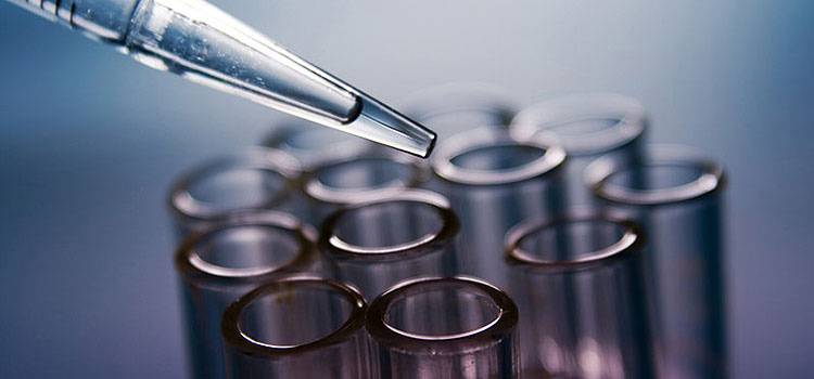 Test tubes being used in a lab experiment.