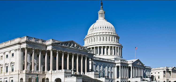 The U.S. Capitol building in Washington D.C.