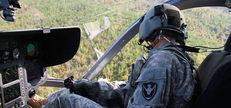 A member of the Georgia National Guard force searches for illegal marijuana plants.