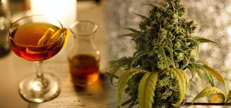 Alcohol and cannabis are the two most popular psychoactive substances on the planet.