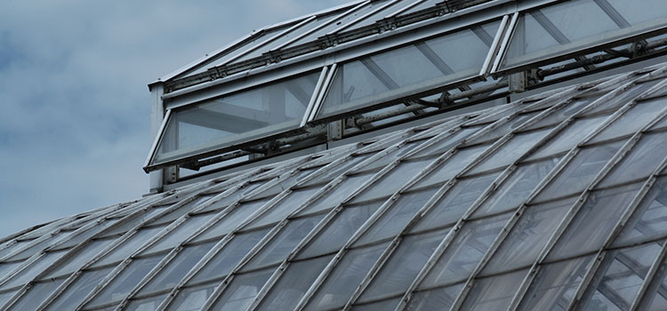 A large, commercial greenhouse.