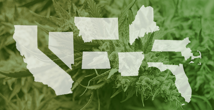 Nine states voted in favor of their cannabis measures last night: California, Nevada, Montana, North Dakota, Arkansas, Maine, Massachusetts, and Florida.