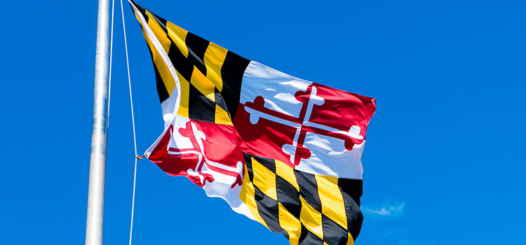 The state flag of Maryland flying on a clear, blue-skied day.