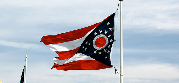 The Ohio state flag flying in the wind.