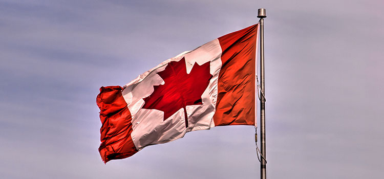 The flag of Canada, a.k.a. the Maple Leaf.