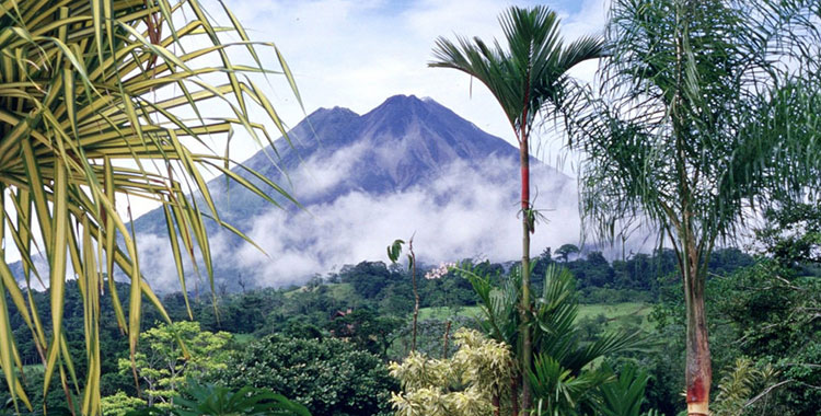 Image from the jungles of Costa Rica.