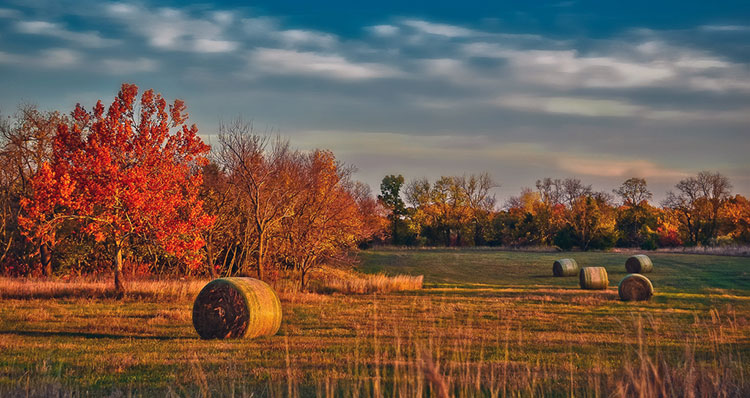 Farmland early in the morning somewhere in Kansas.