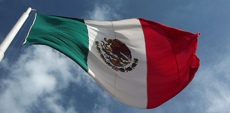 The flag of Mexico flying in the wind.