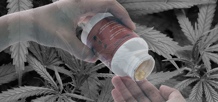 As legalization and reform efforts advance, so does cannabis delivery technologies.