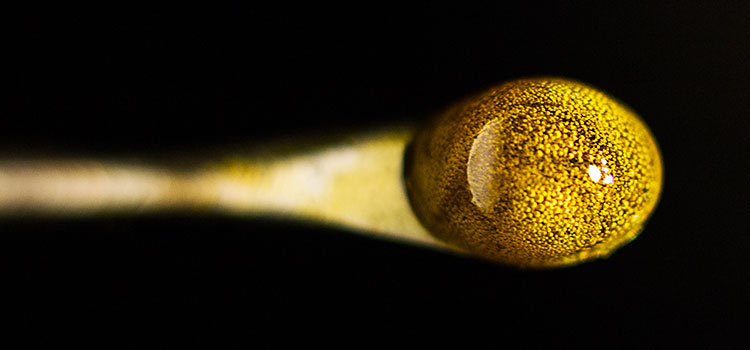 Macro photo of a cannabis concentrate.