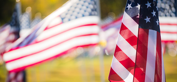 American flags waving in the wind during a Veterans Day celebration.