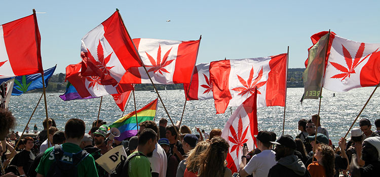 The Global Marijuana March in Vancouver, British Columbia, circa 2013.