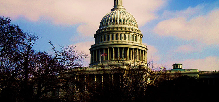 The U.S. Capitol Building in Washington D.C.