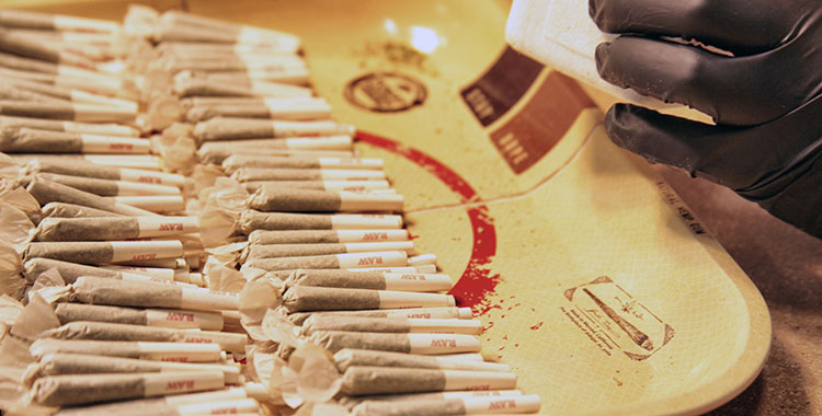 A dispensary worker at Chalice Farms in Portland, OR stuffs pre-rolled joints in the back room.