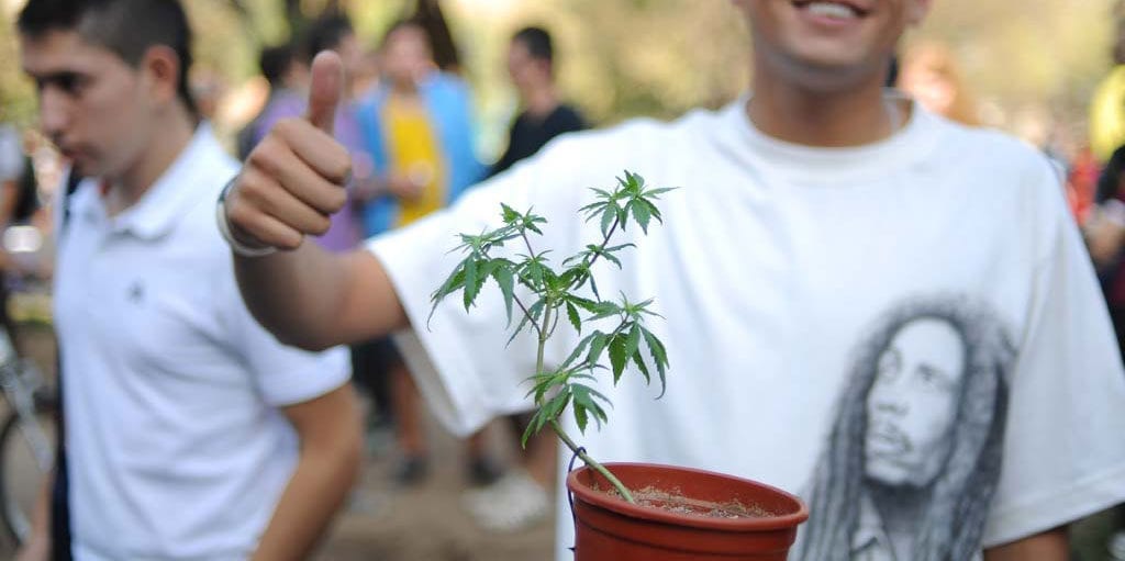 A marijuana enthusiast shows his support.