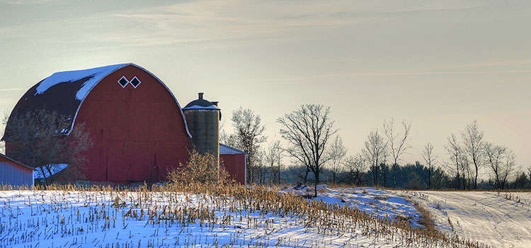 A farm's barn located in Arnott, Wisconsin.