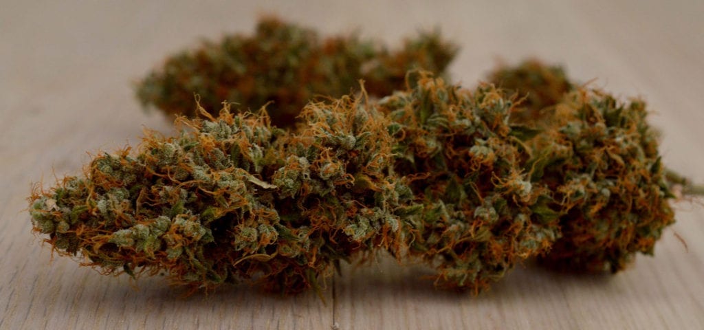 A large, trimmed cannabis nug lying sideways on a wooden surface.