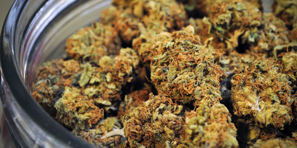 A jar of Grape Cush indica strain cannabis inside of a California dispensary.