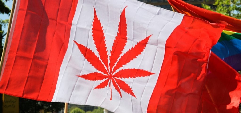 A cannabis-themed depiction of the national flag of Canada, pictured during the 2014 World Marijuana March in Vancouver, British Columbia.