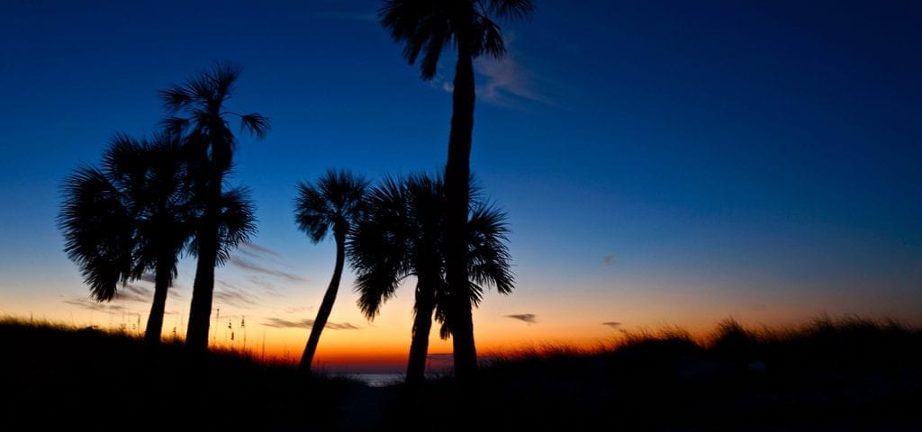 The sun setting behind palm trees on Clearwater Beach in Florida.
