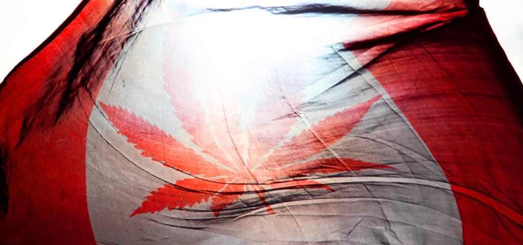 A Canadian flag (with a red cannabis leaf instead of the normal maple leaf) blowing in the wind.