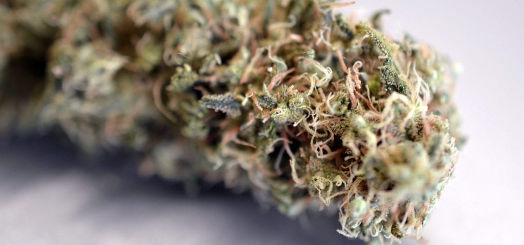 A micro picture of a crystal-covered cannabis nug.