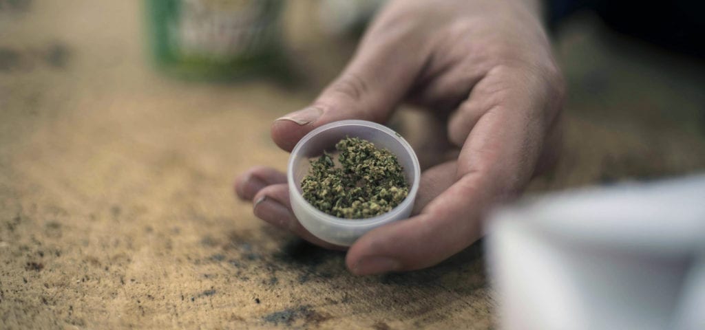 A person holds a small cup of ground-up cannabis flower.