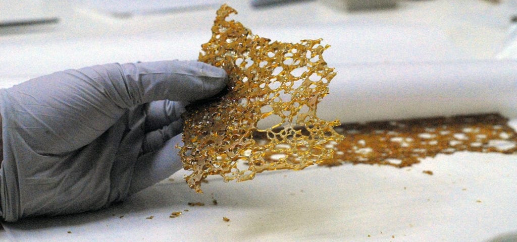 A cannabis worker holds in their hand a thin slab of concentrate.
