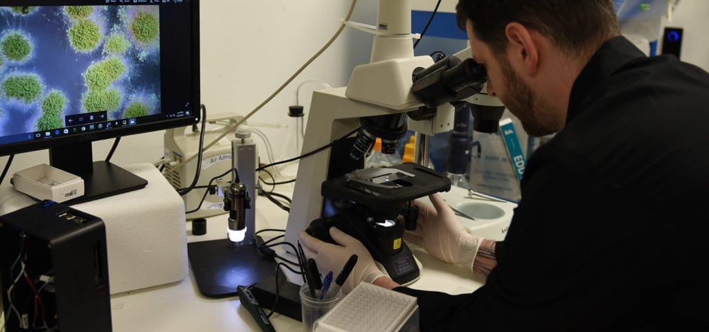 A Confidence Analytics scientist inspects a cannabis sample in their Redmond, Washington testing lab.