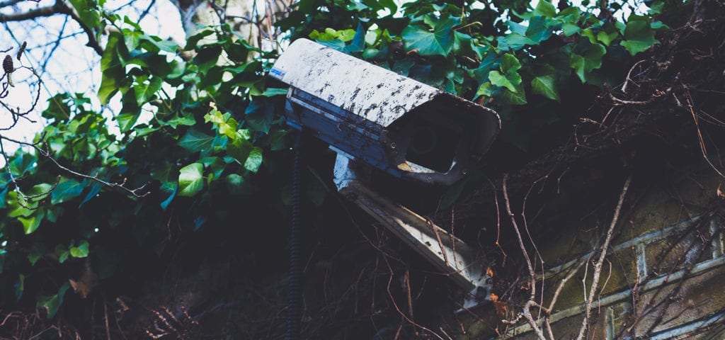 A security camera covered in mud and dirt, mounted on an overgrown outdoor wall.