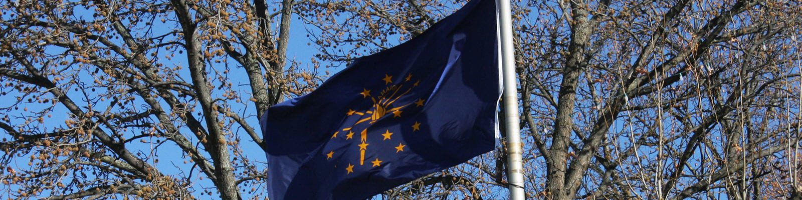 The Indiana state flag flying before a tree on a clear, winter day.