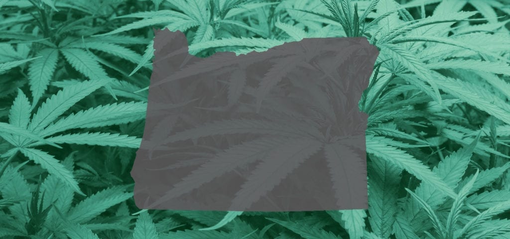 A vector image of the state of Oregon spliced over an indoor cannabis grow's thick foliage.