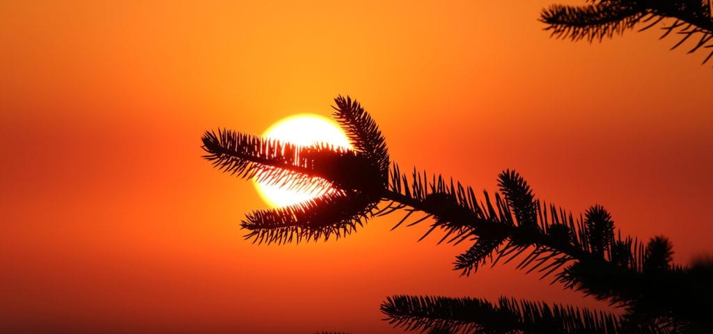 A red-orange sky following rampant wildfires in California.