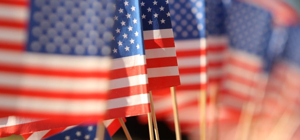 A clump of miniature U.S. flags stuck in the lawn alongside of a parade.