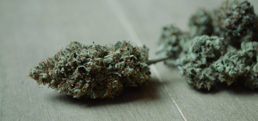 Cannabis nugs from a California home grow site lie on their side on a wooden surface.