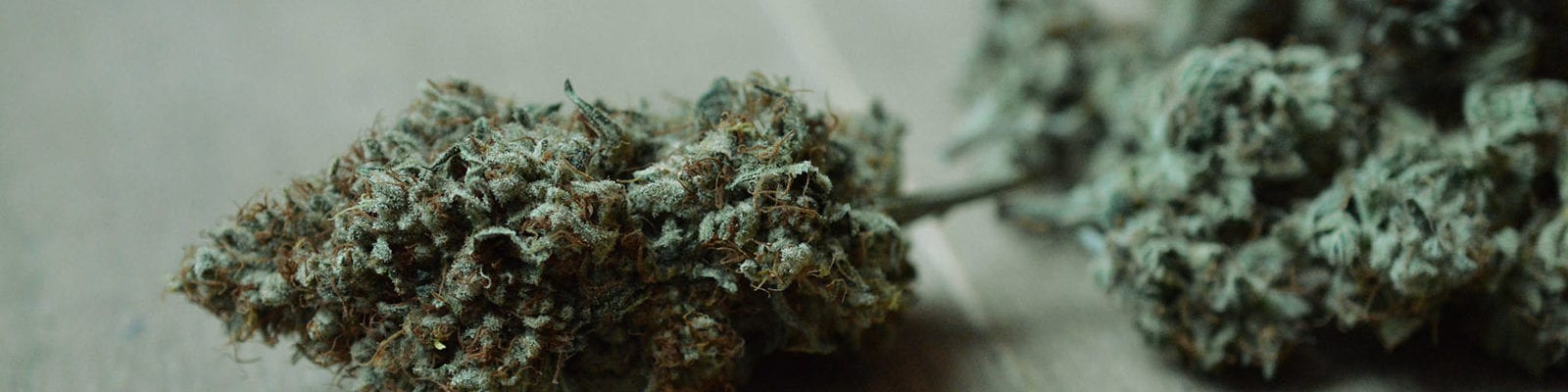 Cannabis nugs from a California home grow site lie on their side on a wooden surface.
