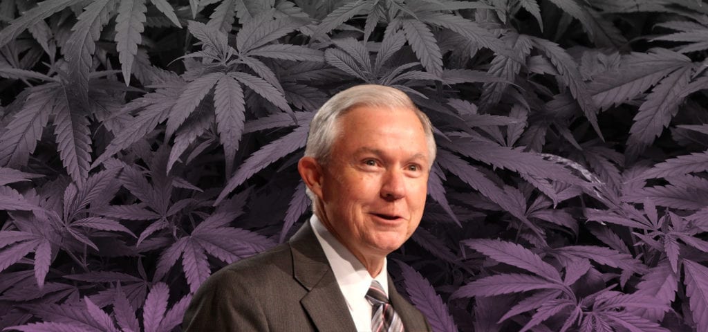 Digital collage of Attorney General Jeff Sessions in front of a cannabis background photo.