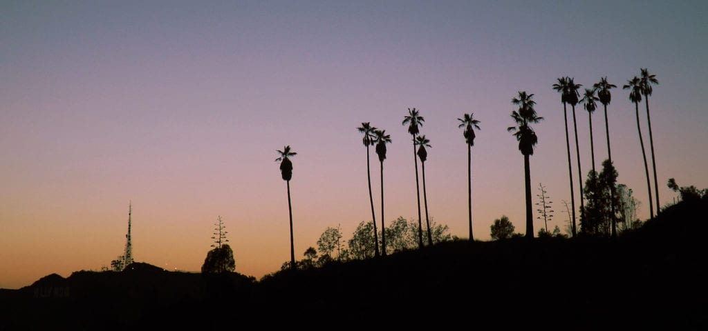 The silhouette shapes of palm trees against a sunset background.