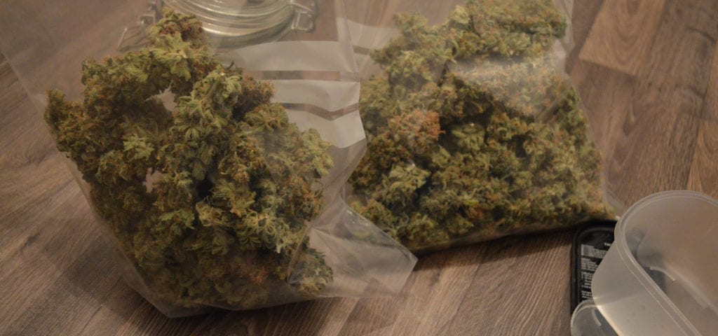 Two plastic baggies of cannabis sit on a wooden surface.