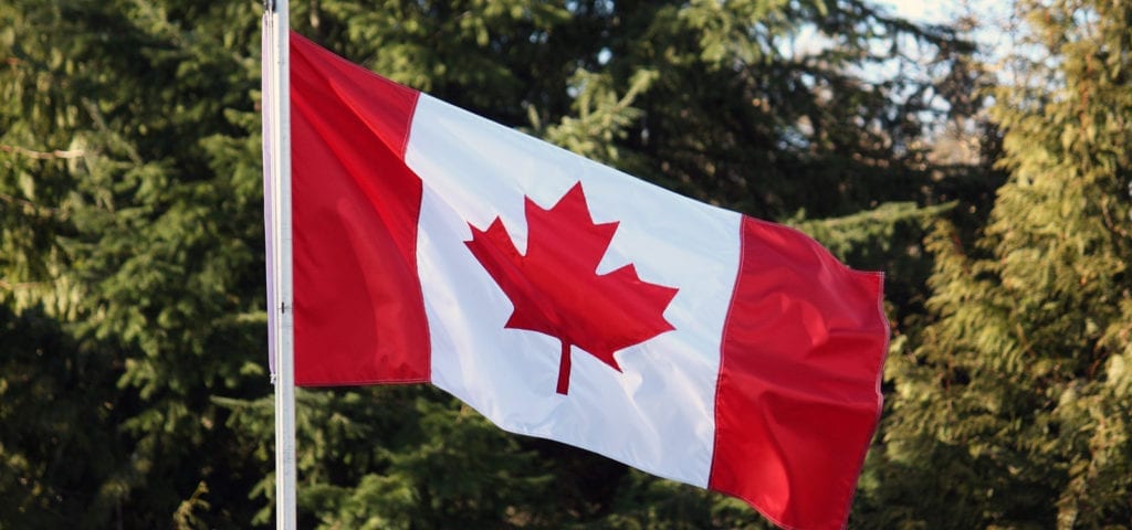 The Canadian flag flying on a windy day in front of evergreen trees.