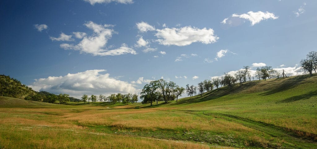 Rolling hills of a California landscape under a sunny, blue sky.