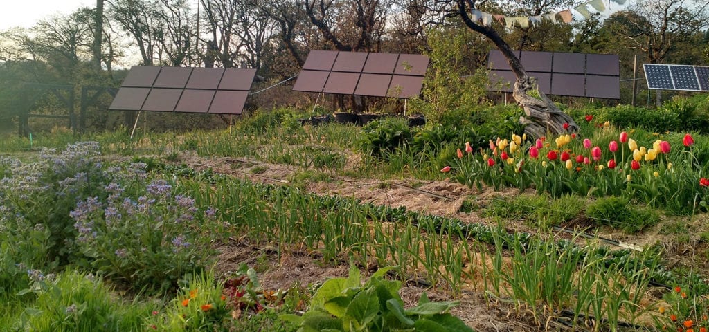 View of the solar panels and organic garden at Happy Day Farm in Mendocino Conuty, California.